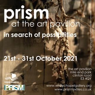 Amanda Hislop - Prism Textiles Group-In search of possibilites